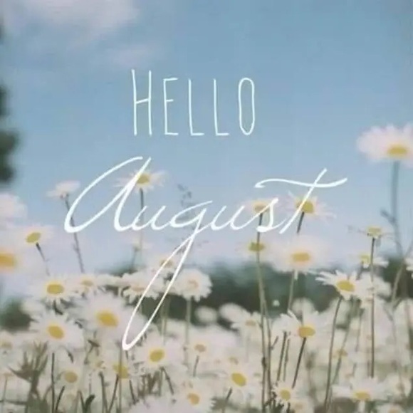 Cellulite Skin Toner Get Results Smoother Skin NEW SEALED ITEM FINAL SALE - Picture 4 of 4